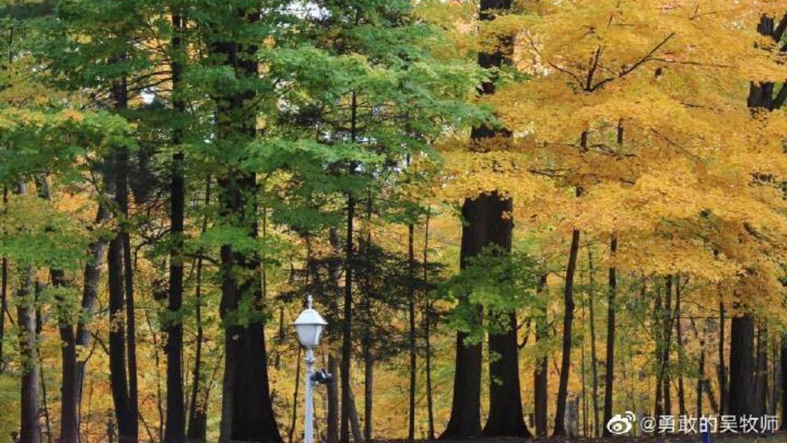 今日定向推广品牌化塑造您的企业形象,开启你的营销新时代,卡盟qq业务平台：卡盟平台专业业务代理服务好